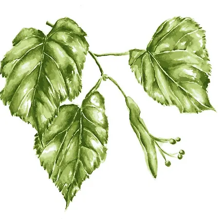 شقة Lindenhof 2, Erdgeschoss *