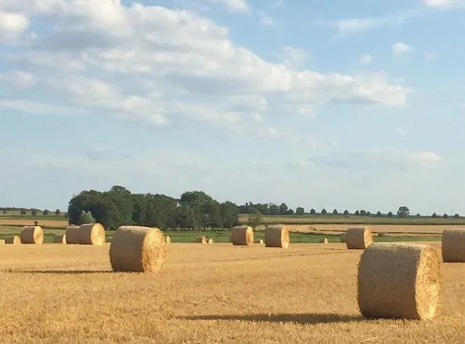 Lindenhof 2, Erdgeschoss Appartement