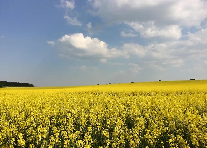 Appartement Lindenhof 2, Erdgeschoss Vipperow