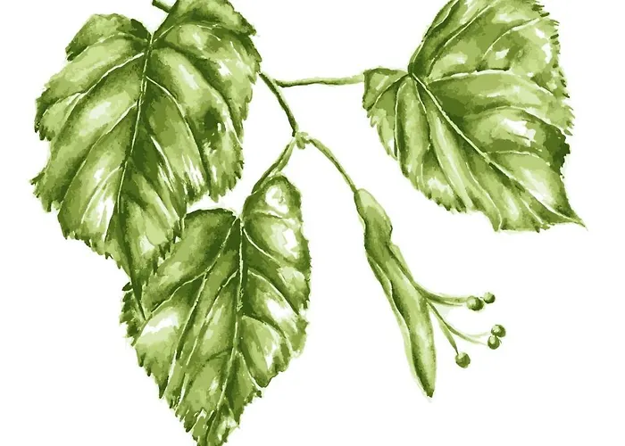 Appartement Lindenhof 2, Erdgeschoss *