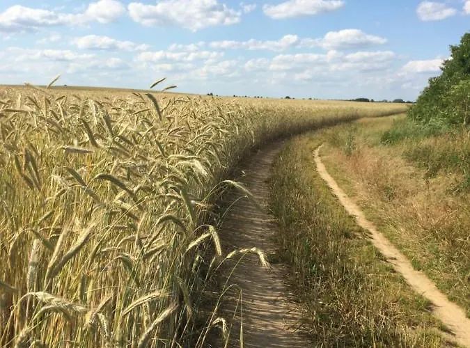 Lindenhof 2, Erdgeschoss Appartement *